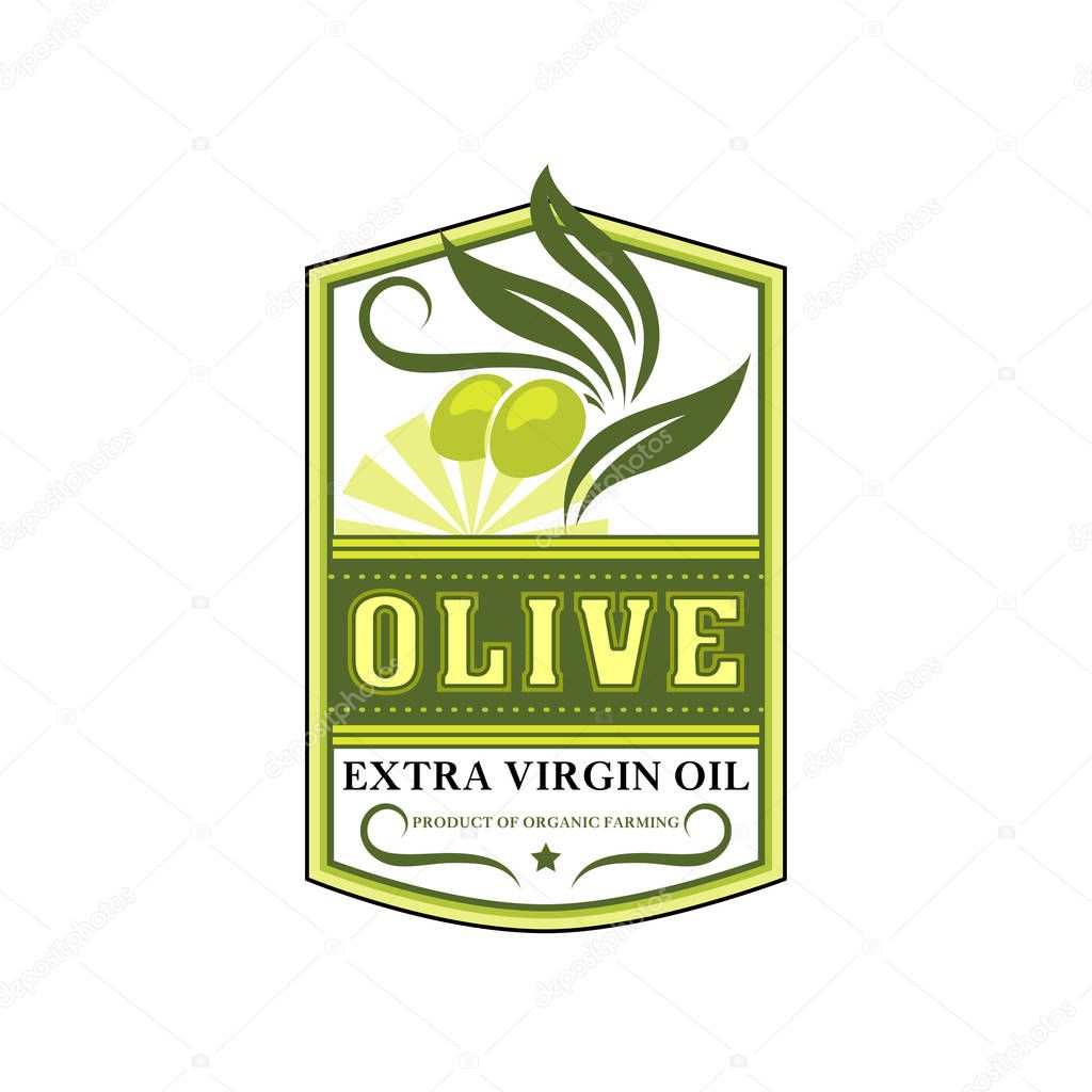 Olive oil extra virgin product icon template of green olives for cooking oil bottle packing label design template. Best quality organic cooking olive oil vector isolated leaf, ribbon and star