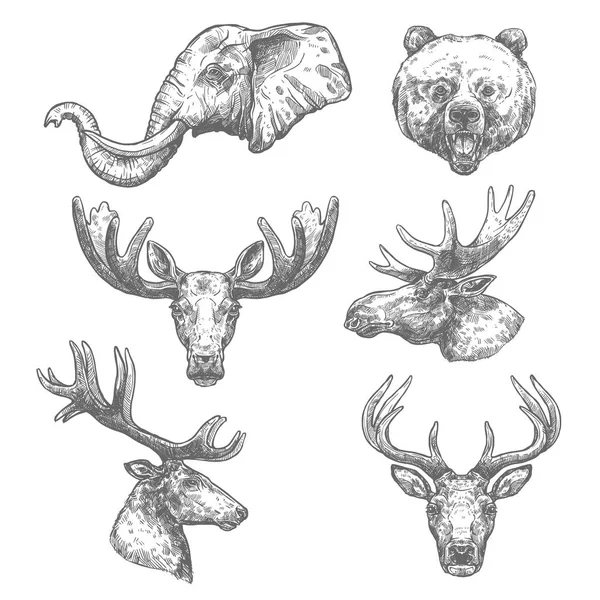 아프리카와 숲 포유동물의 동물 스케치 세트 — 스톡 벡터