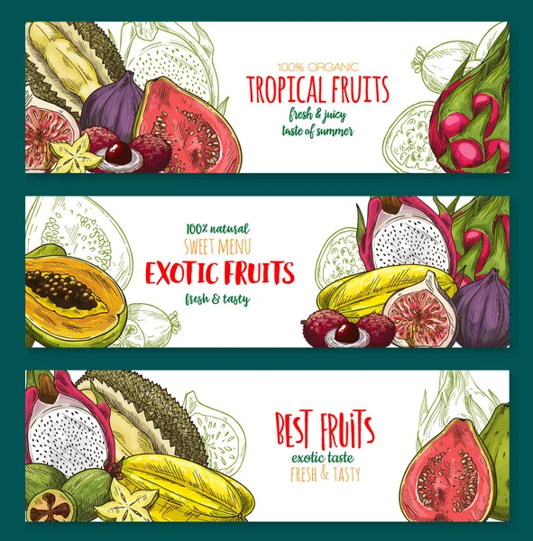 Exotic fruit sketch banner set of tropical berry — Stock Vector