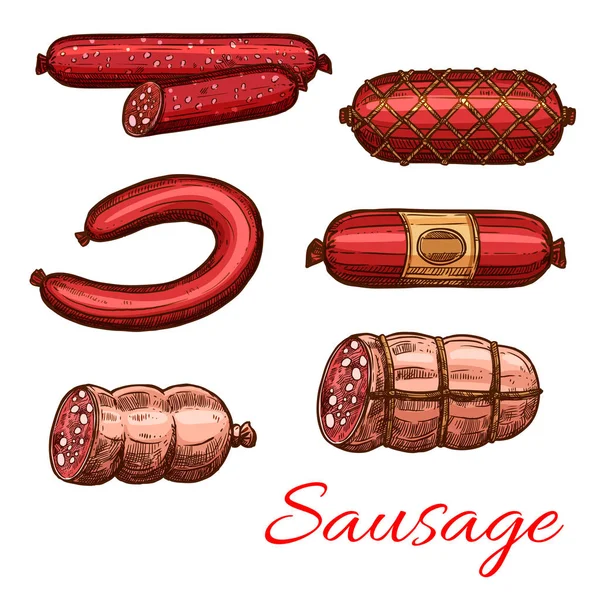 Sausage sketch set of beef and pork meat product — Stock Vector