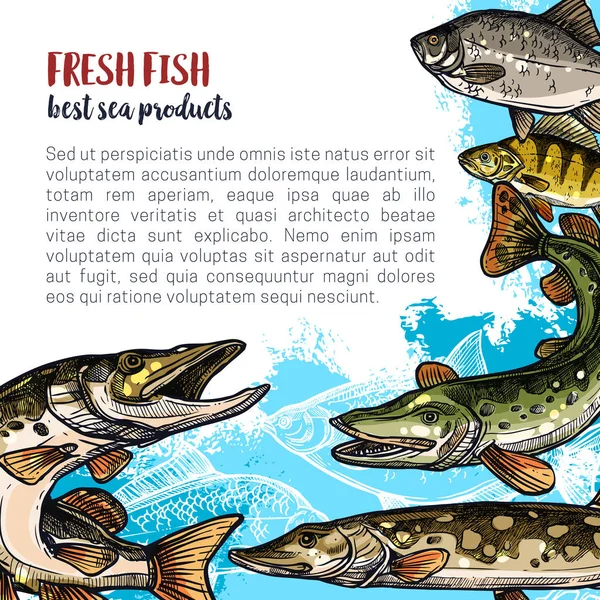 Design de modelo de cartaz de esboço animal de peixe — Vetor de Stock