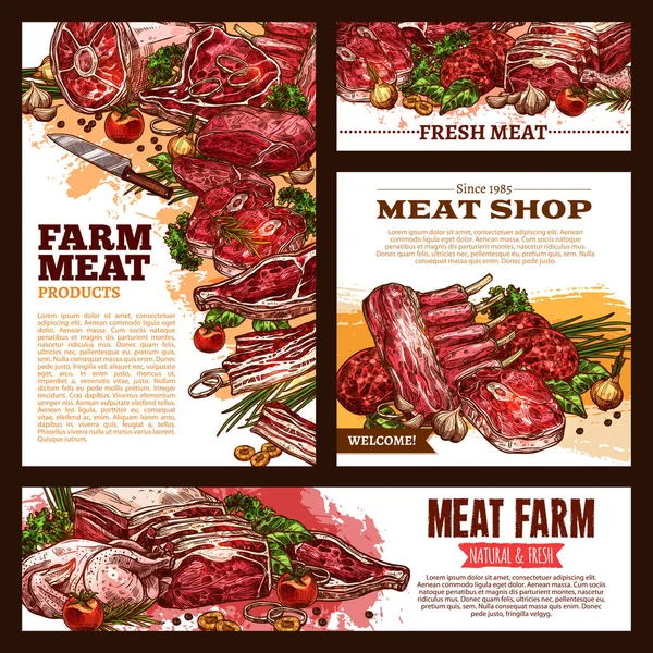 Fleisch frisch geschnitten Skizze Banner Vorlage Set — Stockvektor