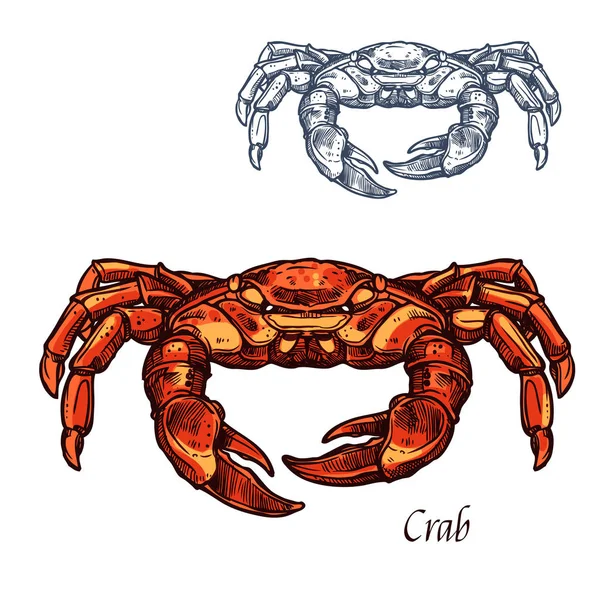 Krabbe Meerestier isolierte Skizze für Sefood-Design — Stockvektor