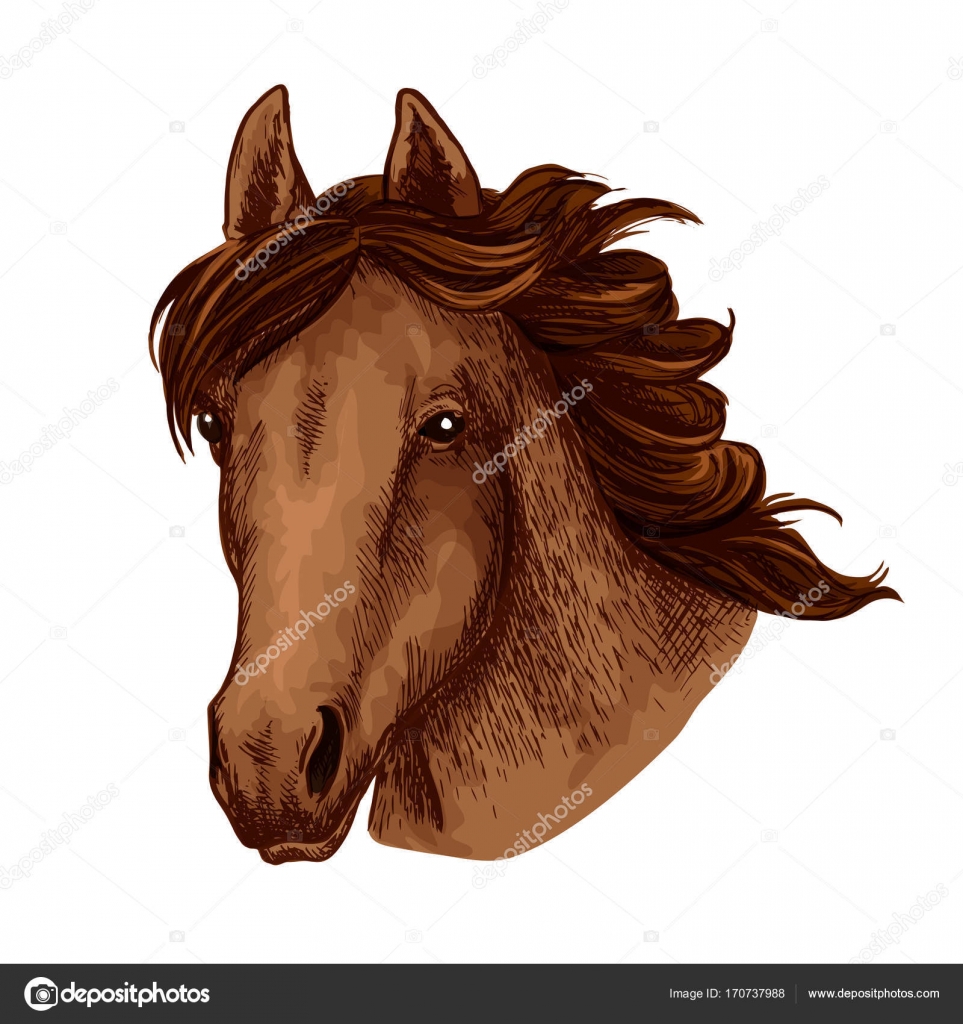Caballo animal hocico vector deporte equipo mascota icono Stock Vector