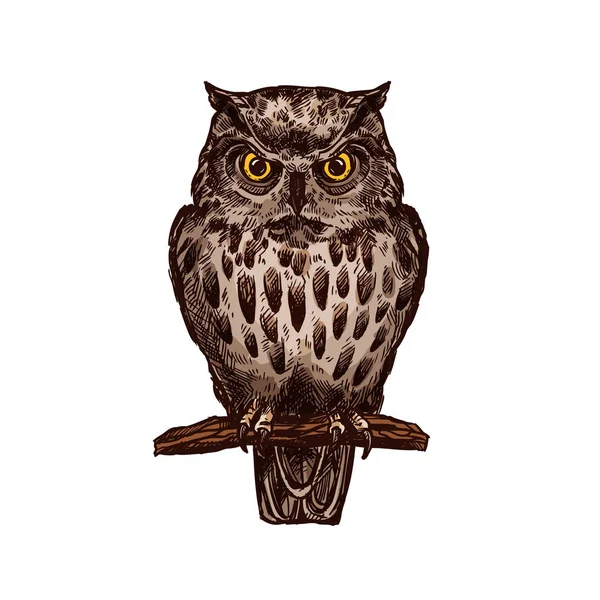 Owl bird vector isolated sketch icon — Stock Vector