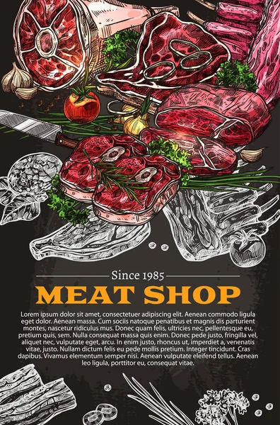 Vektor-Poster von Metzgerei Fleischwaren-Skizze — Stockvektor