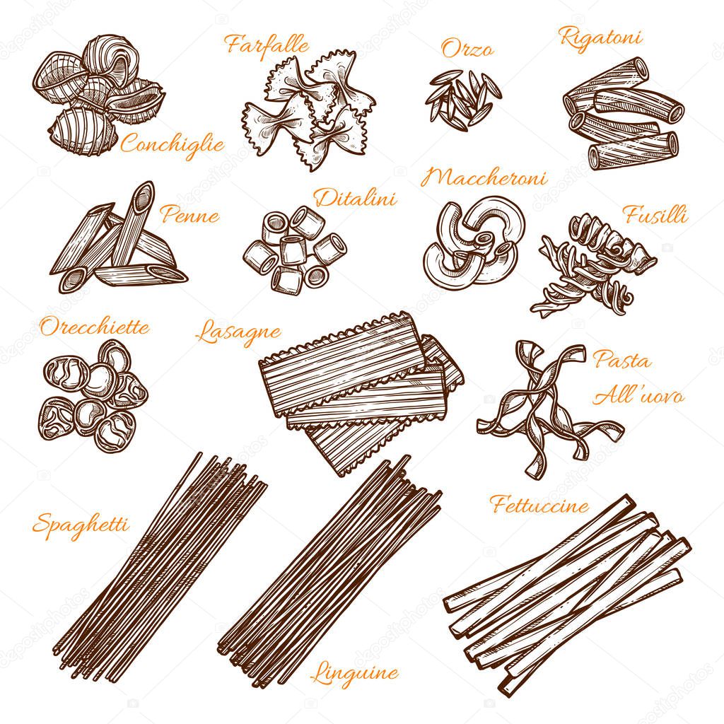 Vector sketch icons of Italian pasta sorts