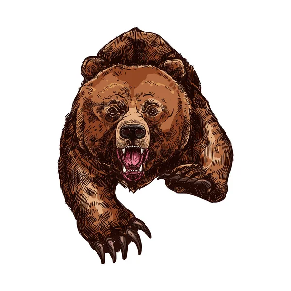 Grizzlybär brüllt Vektor isoliert Skizze Tier — Stockvektor