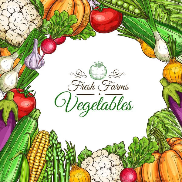 Cartel del bosquejo vectorial de verduras o verduras de la familia — Vector de stock