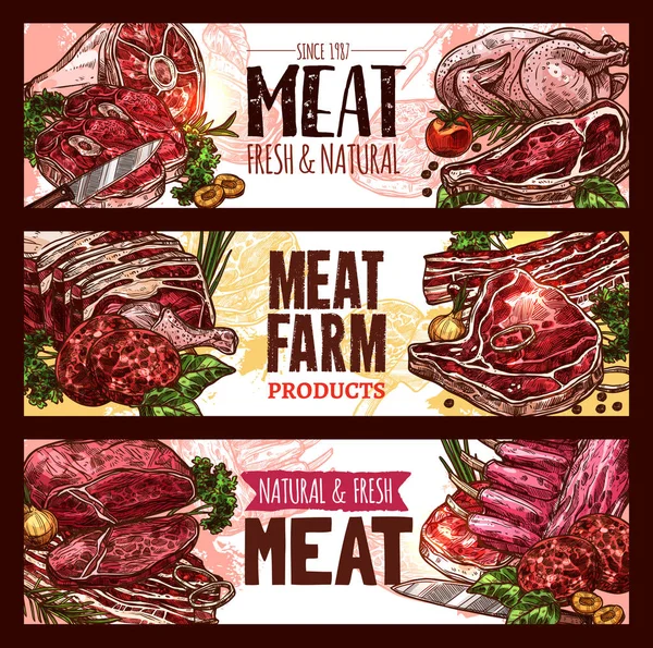 Carne, corte fresco de carne de res y boceto de cerdo conjunto de pancartas — Archivo Imágenes Vectoriales
