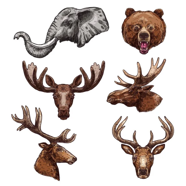 아프리카 동물 및 숲 포유동물 스케치 세트 — 스톡 벡터