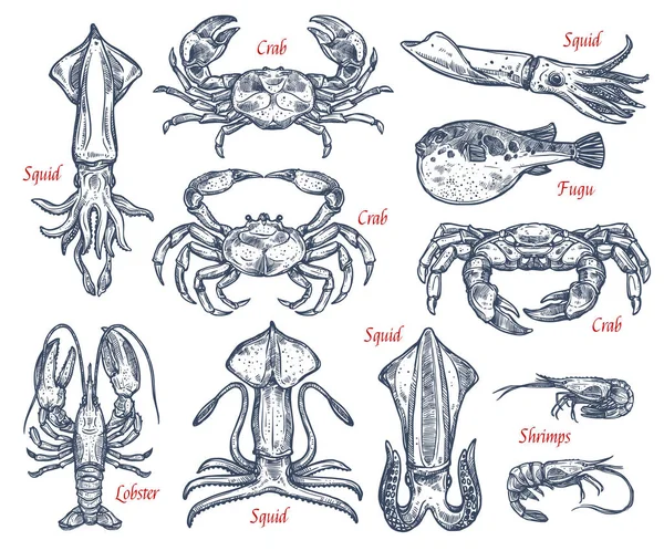 Seafood animal esboço conjunto de peixes e crustáceos —  Vetores de Stock