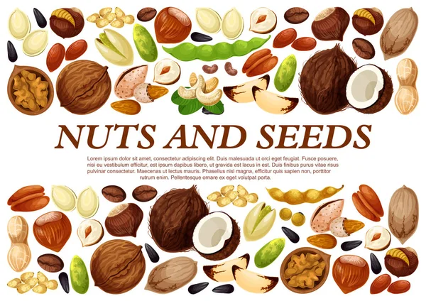 Manifesto vettoriale di frutta a guscio e semi di frutta — Vettoriale Stock