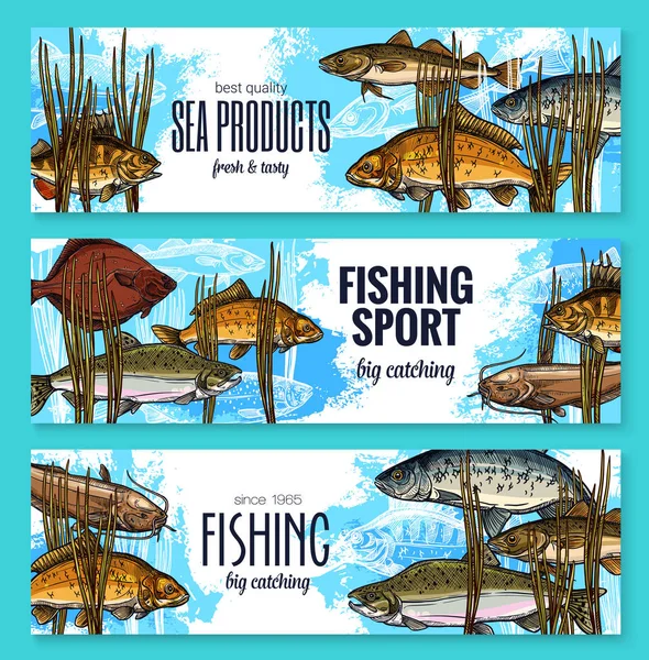 Vector fiskar skiss banners fiske sport marknaden — Stock vektor