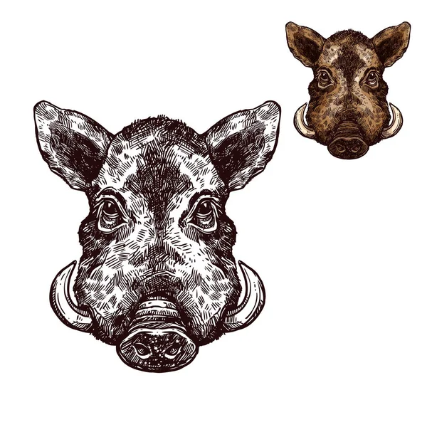 Boar aper bozal vector bosquejo animal salvaje — Archivo Imágenes Vectoriales