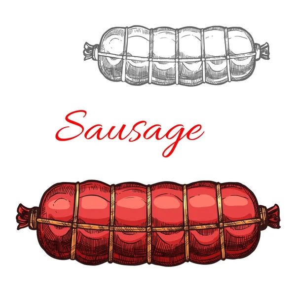 Vector sausage sketch meat icon — Stock Vector