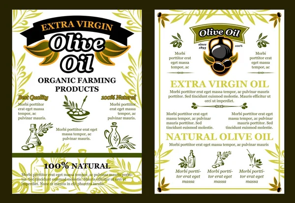 Cartel de aceitunas vectoriales para aceite de oliva ecológico — Vector de stock