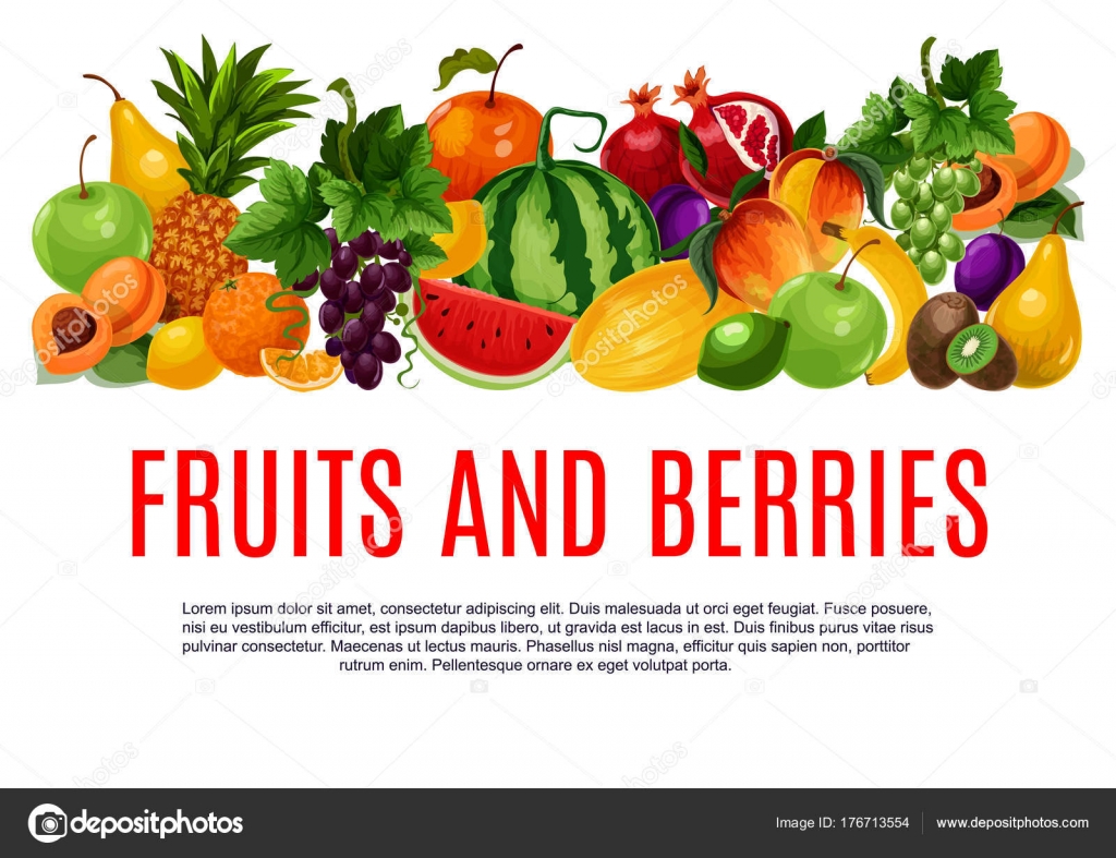 Banner de frutas y bayas con borde del producto agrícola Vector de stock  #176713554 de ©VectorTradition, image size:1600x1231