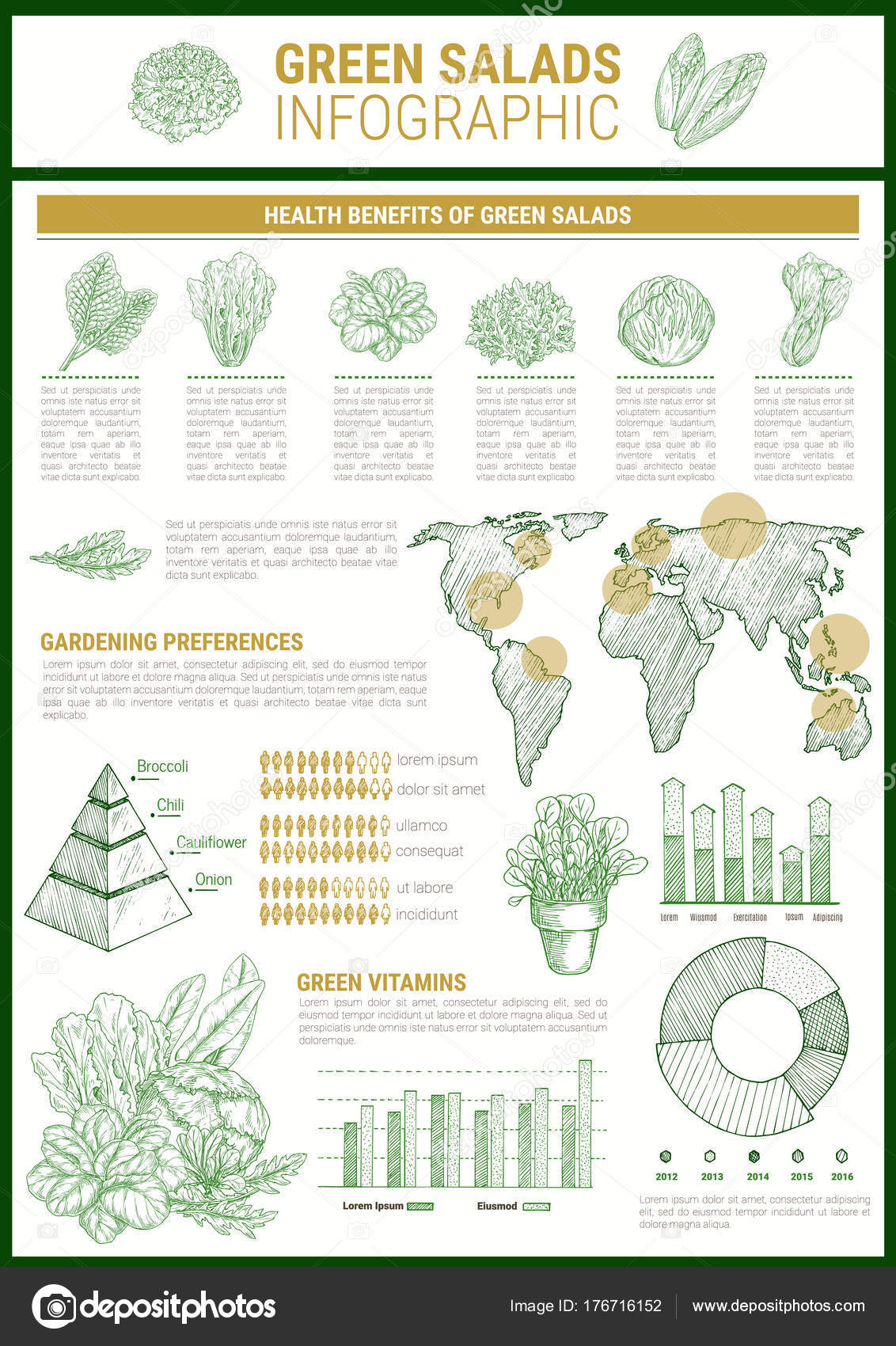 Salad Greens Chart