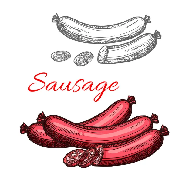 Beef meat sausage sketch of smoked frankfurter — Stock Vector