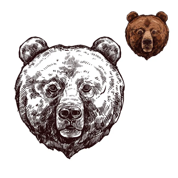야생 육 식 동물의 곰 또는 그리 즐 리 동물 스케치 — 스톡 벡터