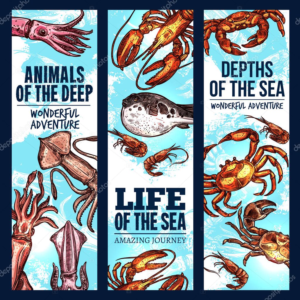 Seafood sketch banner of deep sea fish and animal