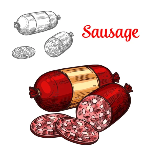 Pork meat sausage isolated sketch of sliced salami — Stock Vector