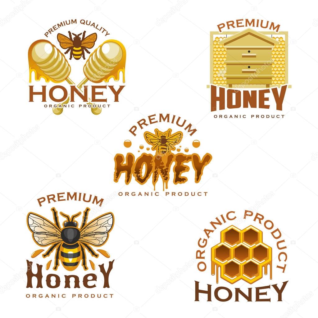 Honey icon with bee, honeycomb, beehive and dipper