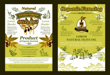 Vektör zeytin veya sızma zeytinyağı poster