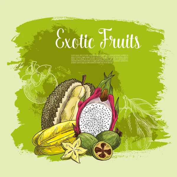 Poster vektor buah eksotis durian atau karambola - Stok Vektor