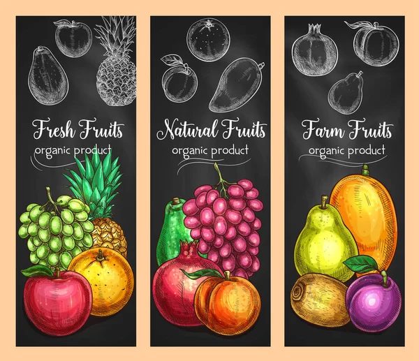 Banderas de bocetos vectoriales de frutas frescas y exóticas — Archivo Imágenes Vectoriales