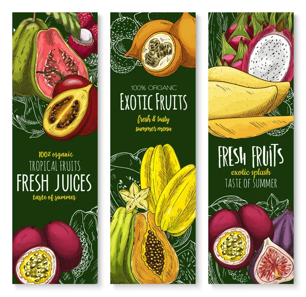 Bannières vectorielles de croquis de jus de fruits exotiques tropicaux — Image vectorielle