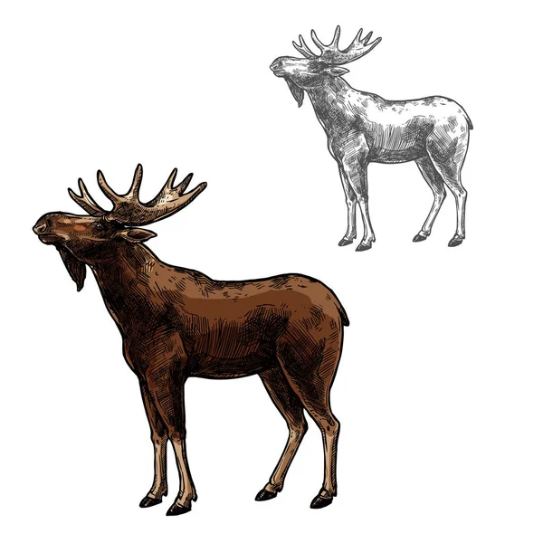 Elk vector bosquejo animal salvaje aislado icono — Archivo Imágenes Vectoriales