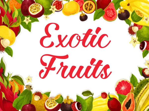 Vektorposter der Ernte tropischer exotischer Früchte — Stockvektor