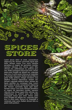 Vektör çizimi baharat ve otlar çiftlik mağaza poster