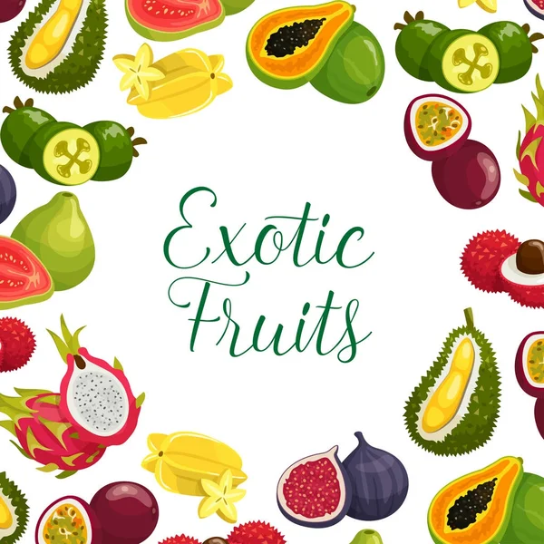 Egzotikus friss trópusi gyümölcsöket vektor poszter — Stock Vector