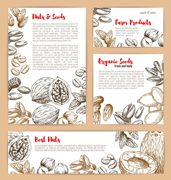 坚果和水果种子的矢量素描海报 — 图库矢量图片