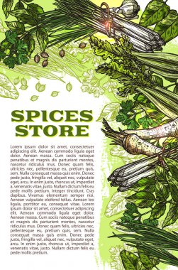 Vektör çizimi baharat ve otlar çiftlik mağaza poster
