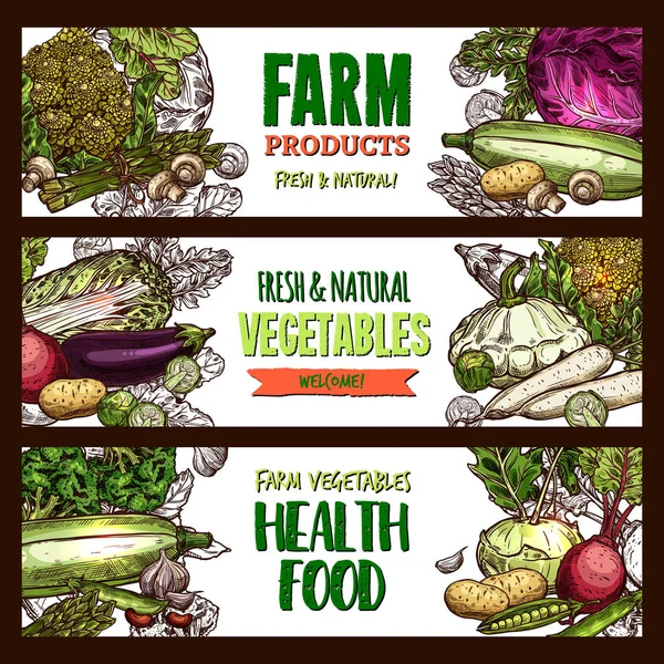 Banners de bosquejo vectorial de verduras orgánicas de granja — Vector de stock