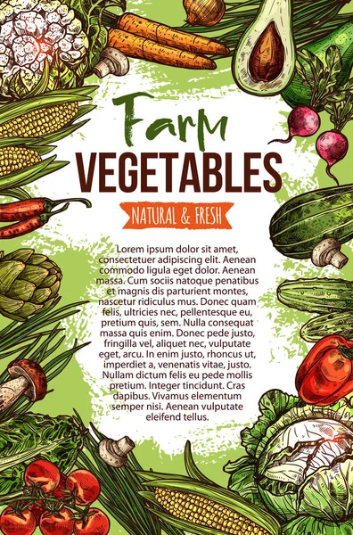 Cartaz de esboço vetorial de vegetais de fazenda naturais — Vetor de Stock