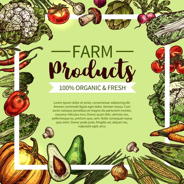 Sebze ve mantar kroki çiftlik ürünle — Stok Vektör