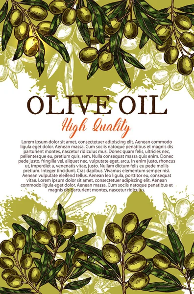 Плакат с оливковым маслом с зеленым листом и фруктами — стоковый вектор
