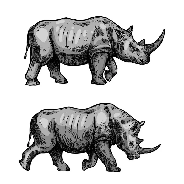 Afryki rhino walking szkic zwierzę do rhinoceros — Wektor stockowy