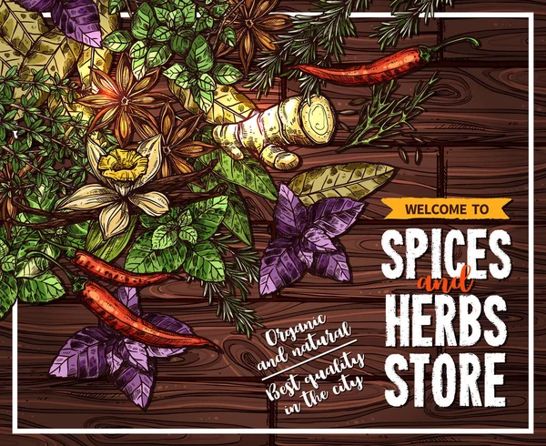 Spice en kruid schets poster op houten achtergrond — Stockvector