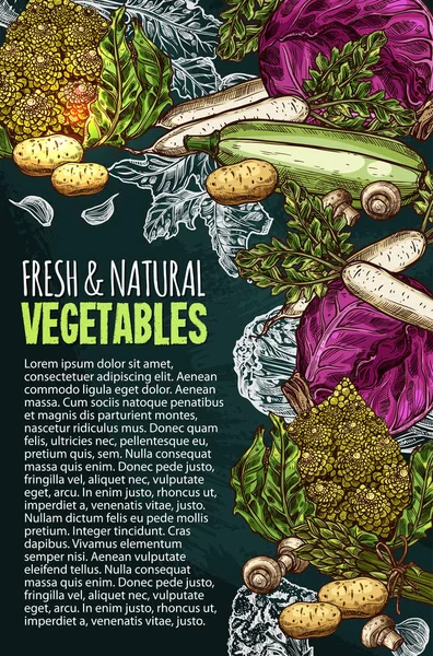 Cartaz de esboço vetorial de vegetais frescos naturais — Vetor de Stock