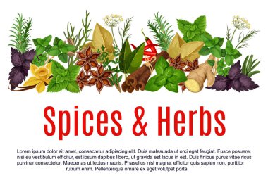 Vector spices and herbs farm store poster clipart