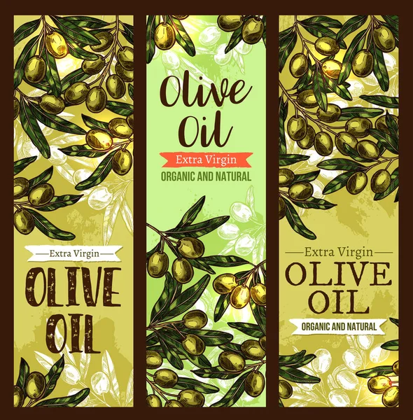 Banner per bozzetti extra vergine olio extravergine di oliva vettoriale — Vettoriale Stock