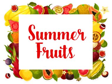 Vektör yaz meyve poster tropikal meyveler