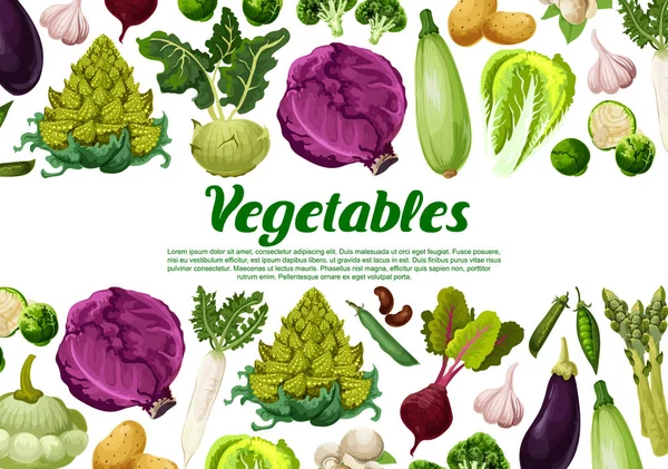 Verdure vettoriali e poster vegetariano vegetariano veggie — Vettoriale Stock
