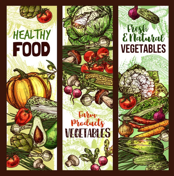 Vector de verduras y verduras boceto pancartas — Vector de stock